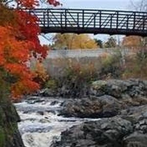 Meet your Posher, Allyson